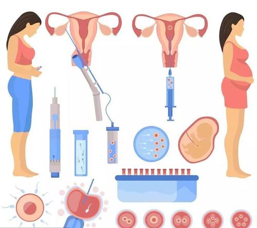 準備做試管嬰兒時，應該怎么保養卵巢？