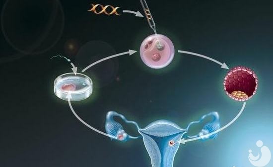 卵巢早衰的年輕女性，試管嬰兒圓生子夢！