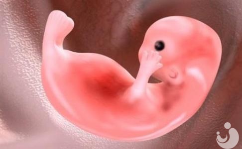 關(guān)于試管嬰兒的謠言，你輕信了嗎？