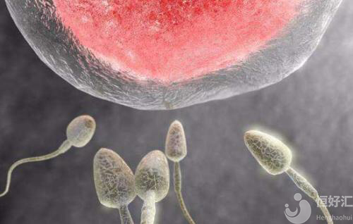 如何知道卵子的質(zhì)量情況？