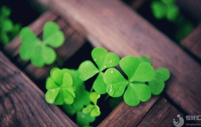 微刺激方案對卵巢更溫柔，你知道嗎？