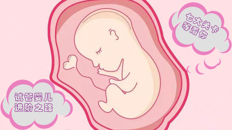 試管嬰兒的進階之路，七大關卡等著你