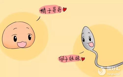 試管嬰兒取卵數(shù)目跟什么有關？