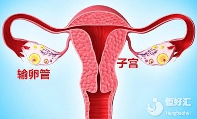 輸卵管通不通，原來(lái)可以這樣查！