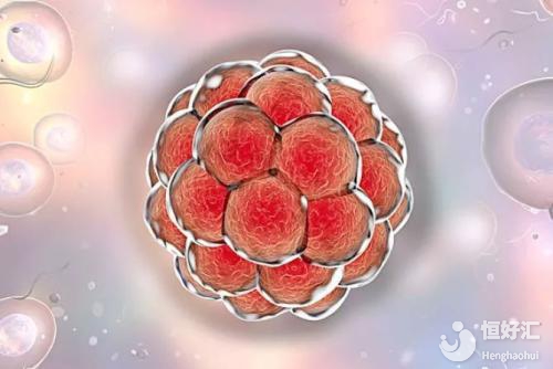 千古難題：試管嬰兒移植了優(yōu)質(zhì)胚胎為啥還沒懷孕？
