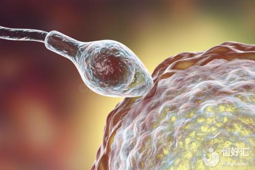 試管嬰兒治療時期，你的卵子質量達標了沒？