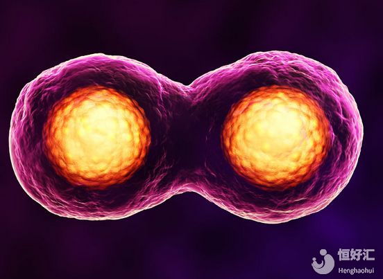 試管嬰兒突破了41年，你知道經歷了什么嗎？