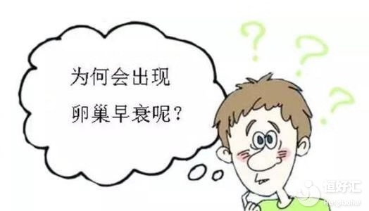 FSH值過高，一定是卵巢早衰嗎？