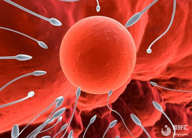 上萬人好奇的問題：胚胎要怎么培養出來？