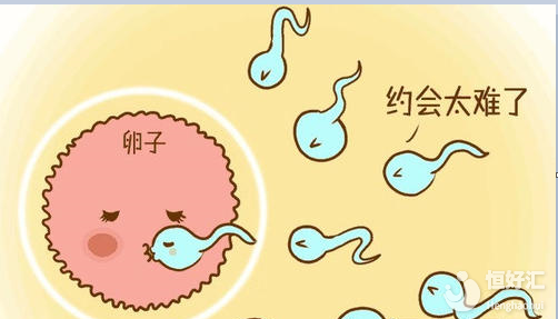 想試管嬰兒助孕？首先你要知道這些事！