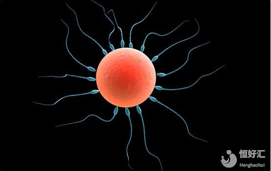 高齡女性做試管嬰兒的希望大嗎？