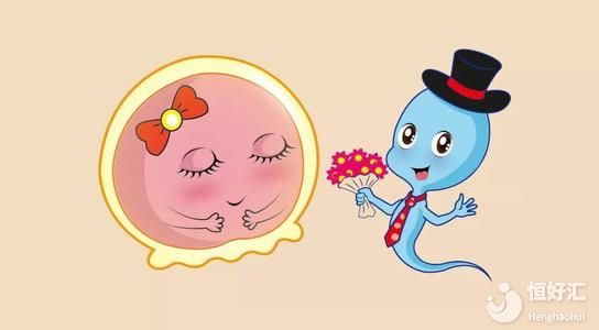 月經(jīng)結(jié)束要過(guò)多久才可以監(jiān)測(cè)排卵？