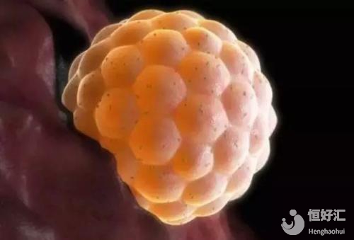 做試管嬰兒必做的一件事，你還在錯過嗎？