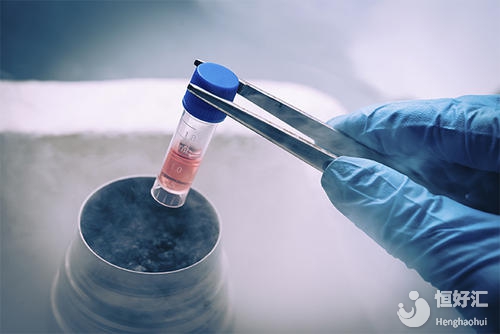 專家解答：冷凍胚胎要怎么解凍？