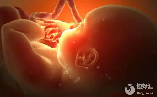 胎寶寶的“變身記”，快速了解震撼的一面！