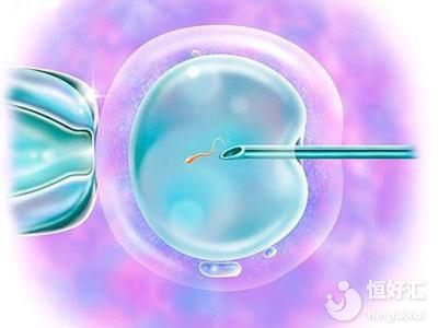 試管嬰兒取卵數量多，為何可用數量卻很少？