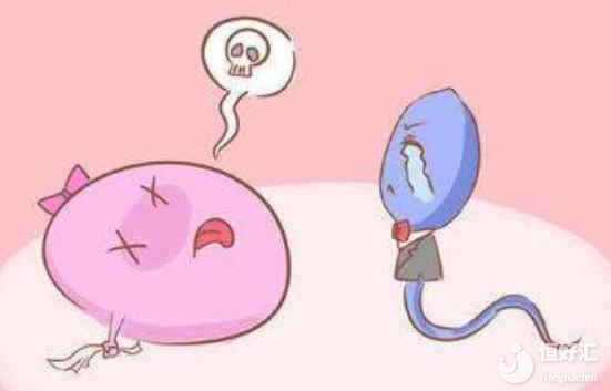 卵子質(zhì)量差怎么提高試管嬰兒成功率？