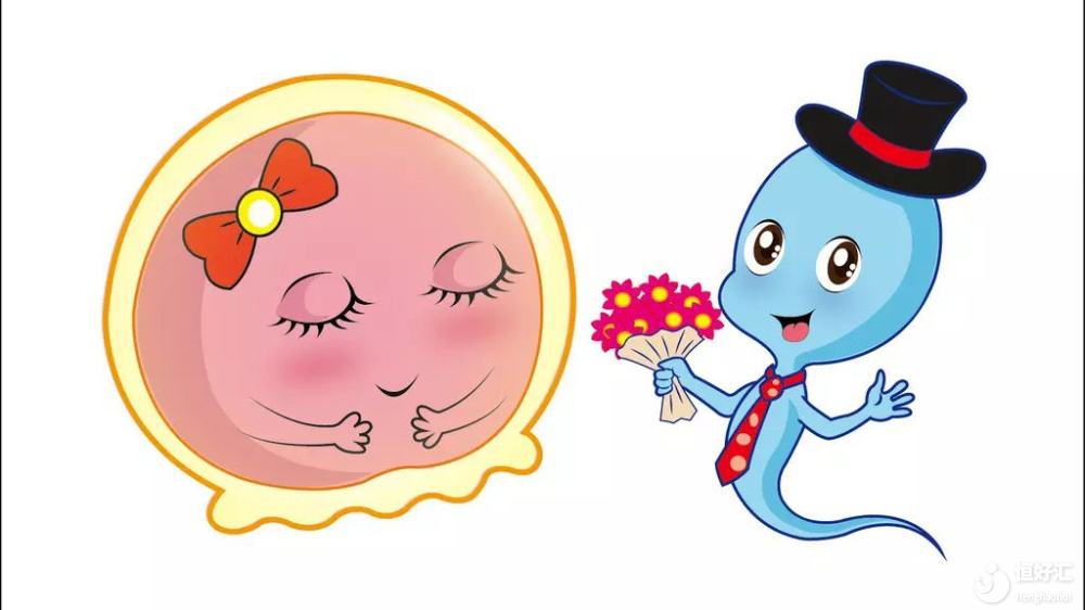 明星都選擇凍卵了，你還不去？凍卵真的好嗎？