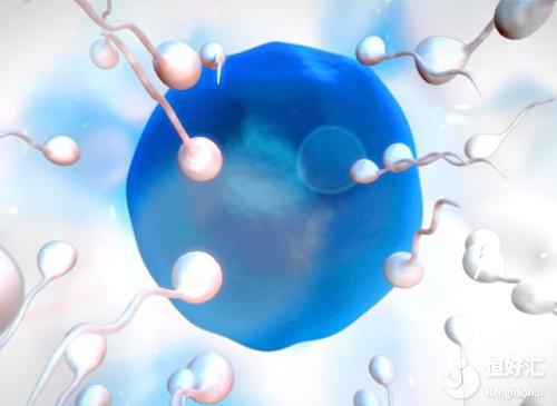 泰國試管嬰兒的發展跟適應癥，人類技術崛起！