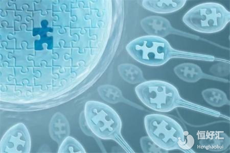 試管嬰兒成功關鍵是這些，可惜很多人不知