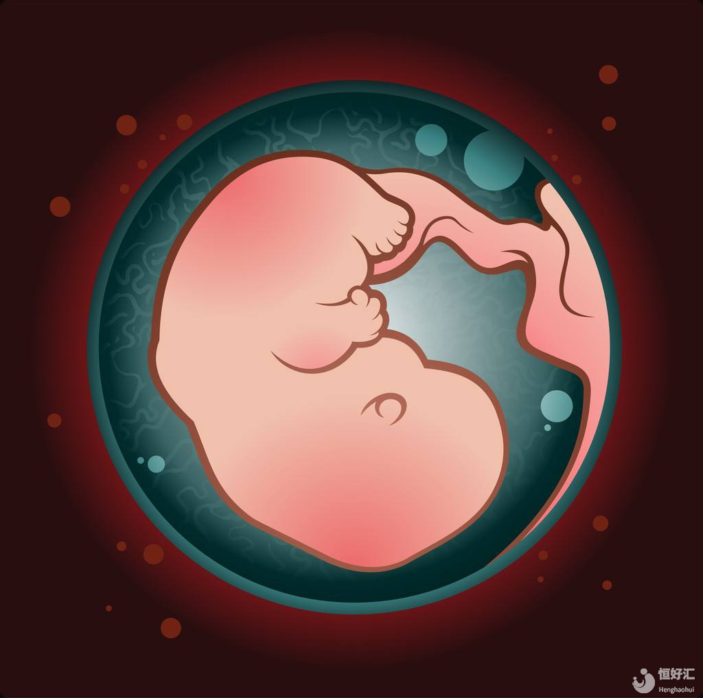 神奇的胚胎寶寶如何與試管媽媽聯系，成功著床呢？