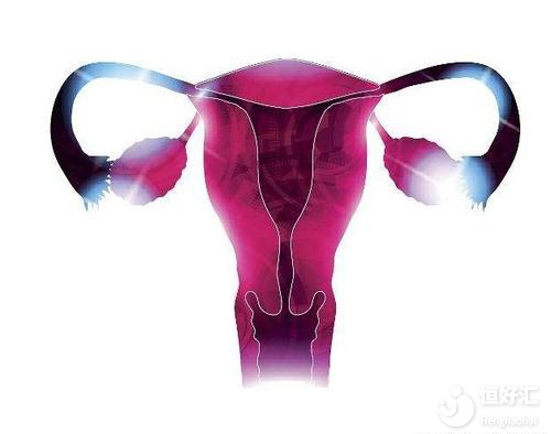 促排卵期間可以參加馬拉松嗎？醫生：不建議！