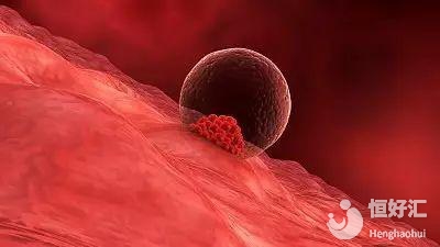 如何做才能保證試管嬰兒更健康？這幾點(diǎn)不能忽視