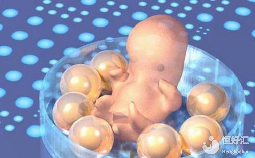 試管嬰兒養(yǎng)囊適合所有人嗎？請不要強行對號入座