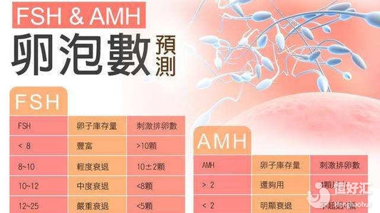 年齡的影響最大！女性AMH正常值詳細(xì)介紹
