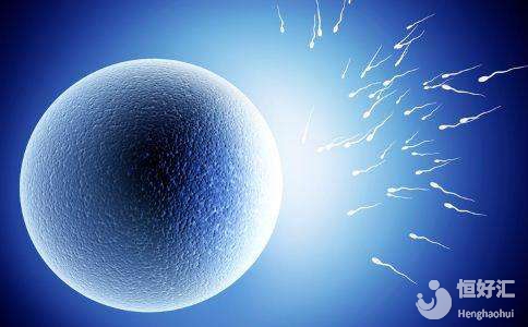 香港試管嬰兒全程步驟講解，或伴有這幾點優勢！