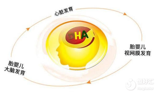 孕婦吃dha對胎兒有哪些好處？這幾點不可忽視