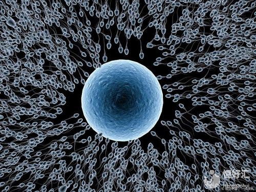 試管嬰兒受精為什么會失敗？醫(yī)生：3大原因很致命