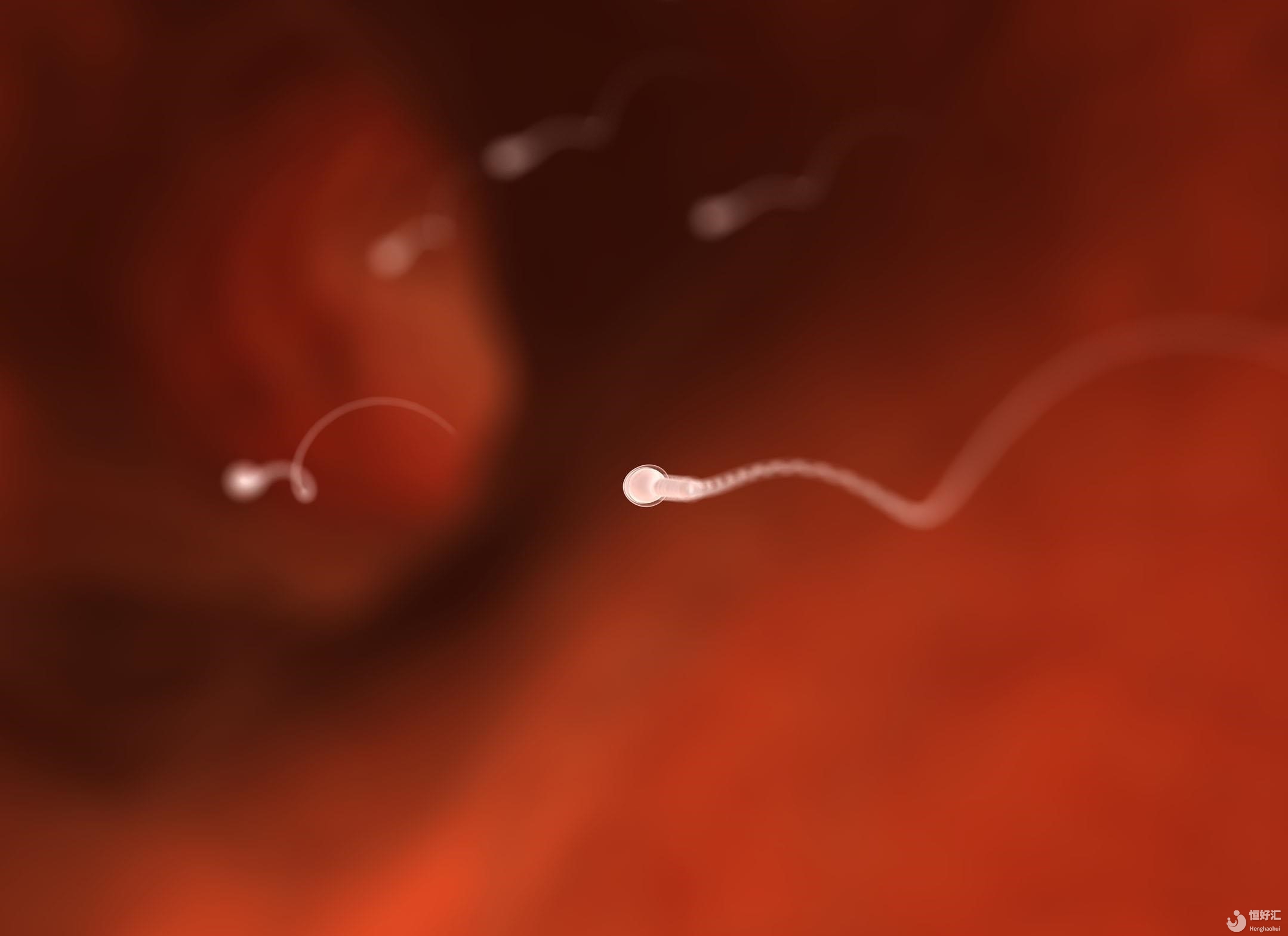 什么？精液里竟然還能沒有精子？