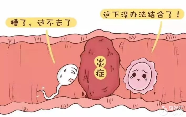 輸卵管導(dǎo)致不孕？只要找對治療方法，好“孕”自然來