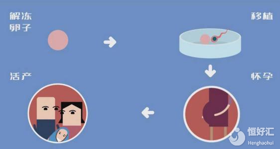 別想了！冷凍卵子并不是想凍就凍，這些條件很重要