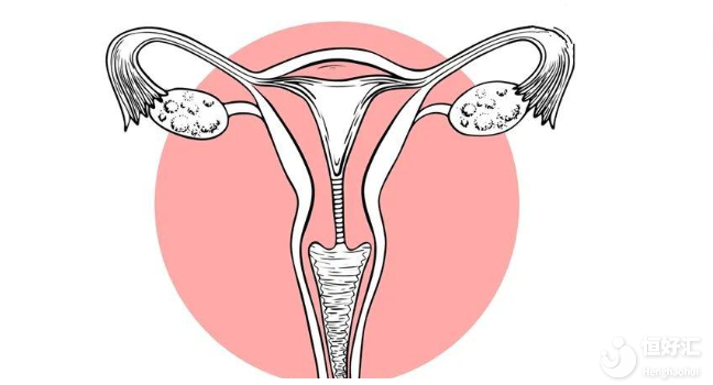 試管嬰兒|輸卵管堵塞了還能懷孕嗎？我來告訴你答案！