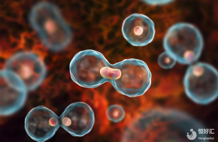 試管嬰兒的胚胎竟分等級？什么胚胎會更好？