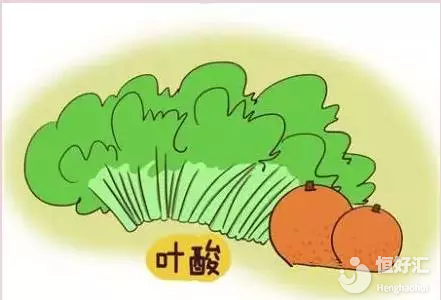 做試管嬰兒前補(bǔ)充葉酸的作用，敢說你不心動(dòng)嗎？