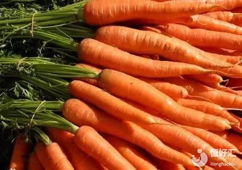 女人40后怎么保養(yǎng)卵巢？吃胡蘿卜是其一！